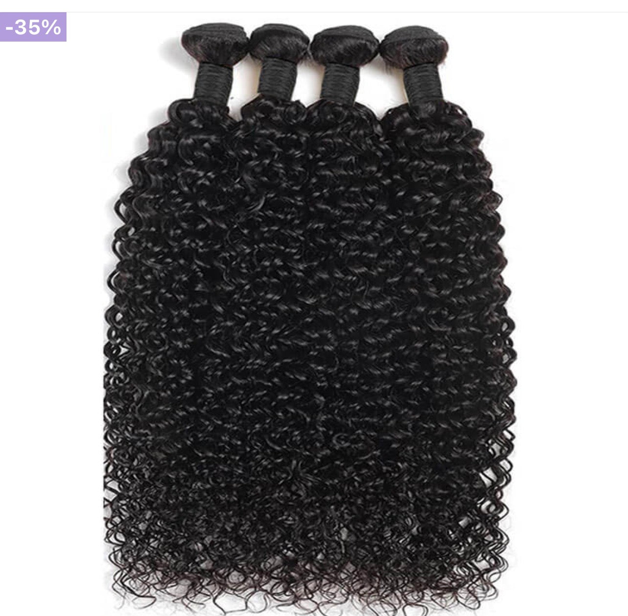 Virgin Burmese curly