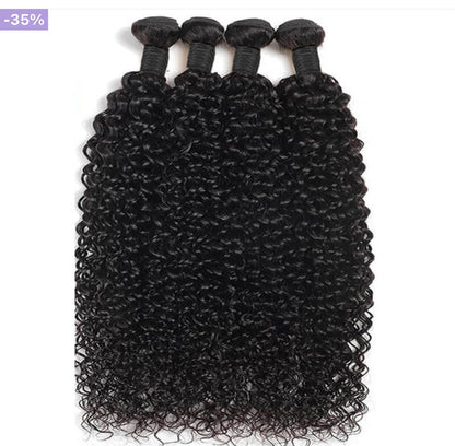 Virgin Burmese curly